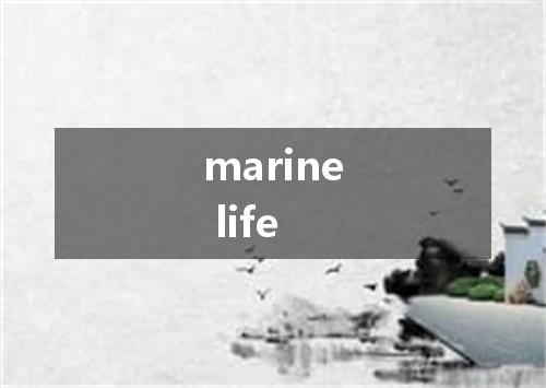 marine life是什么意思