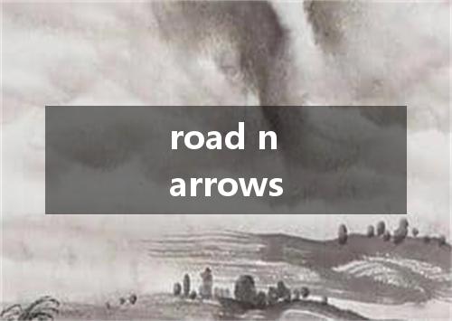 road narrows是什么意思