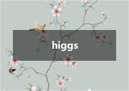 higgs是什么意思