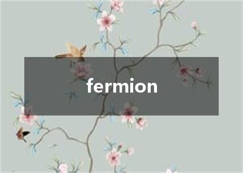 fermion是什么意思