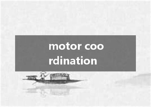 motor coordination是什么意思