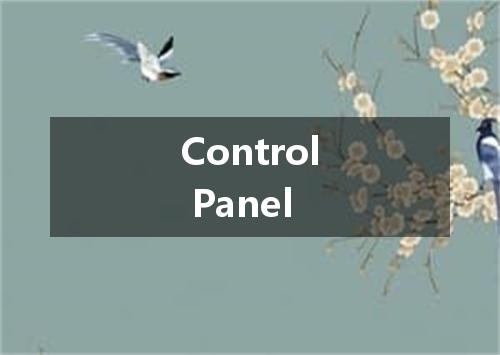 Control Panel是什么意思