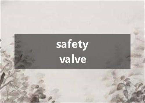 safety valve是什么意思
