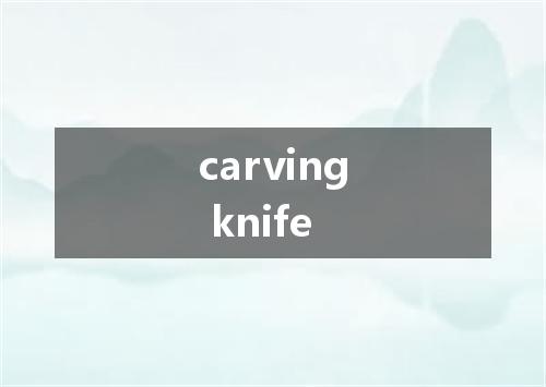 carving knife是什么意思