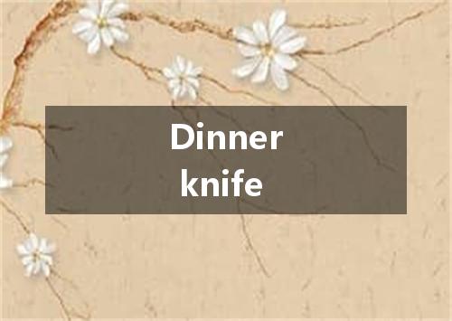 Dinner knife是什么意思