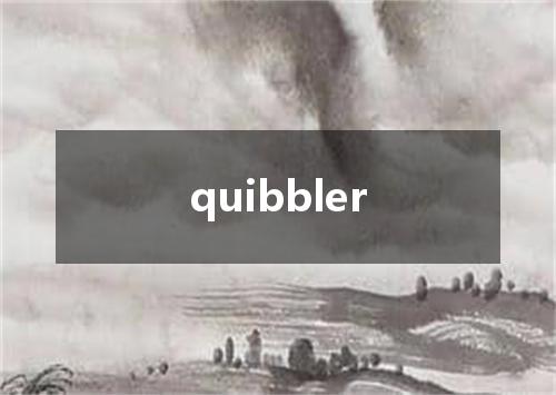 quibbler是什么意思