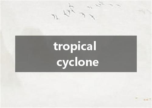 tropical cyclone是什么意思