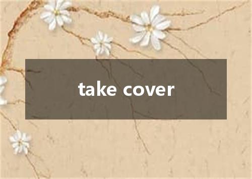 take cover是什么意思