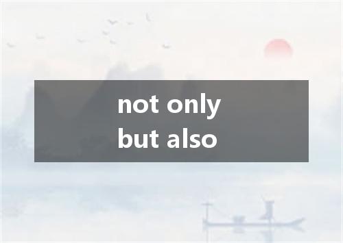 not only but also是什么意思