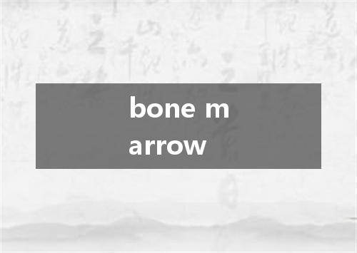 bone marrow是什么意思