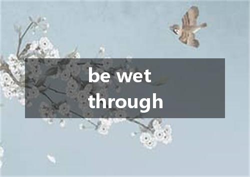 be wet through是什么意思
