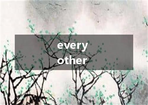 every other是什么意思