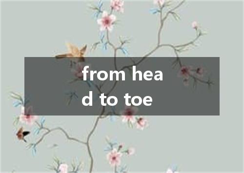 from head to toe是什么意思