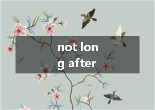 not long after是什么意思