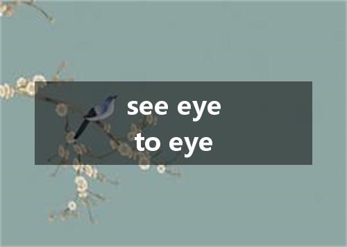 see eye to eye是什么意思