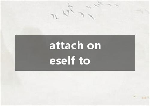 attach oneself to是什么意思