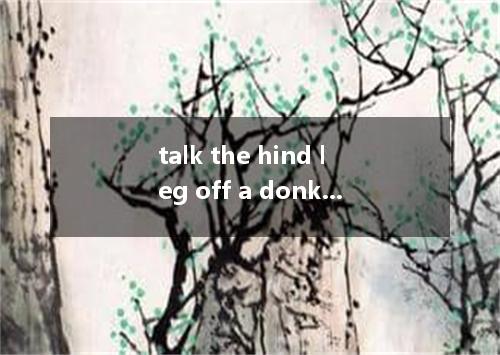 talk the hind leg off a donkey是什么意思