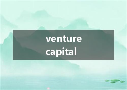 venturecapital是什么意思
