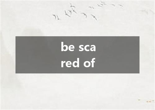 be scared of是什么意思