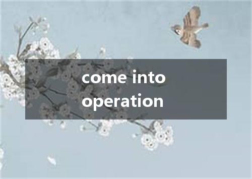 come into operation是什么意思