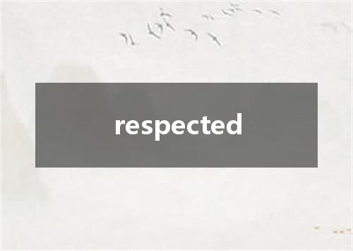respected是什么意思