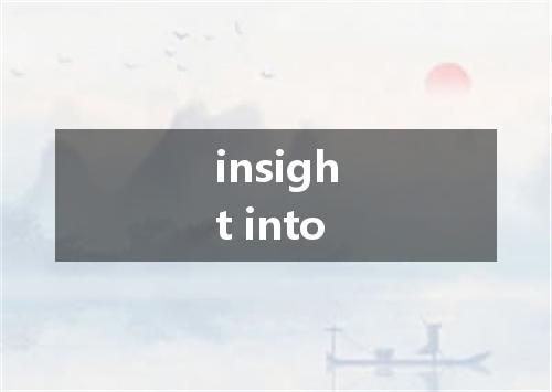 insight into是什么意思