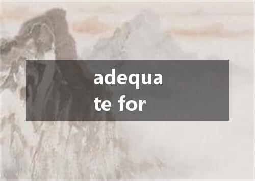 adequate for是什么意思
