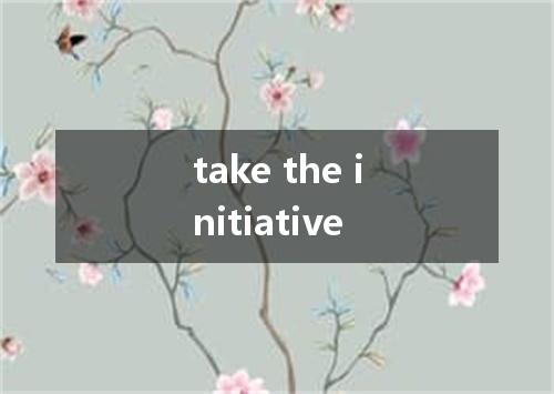 take the initiative是什么意思