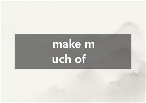 make much of是什么意思