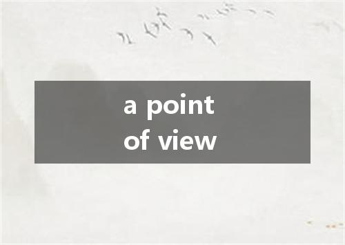 a point of view是什么意思