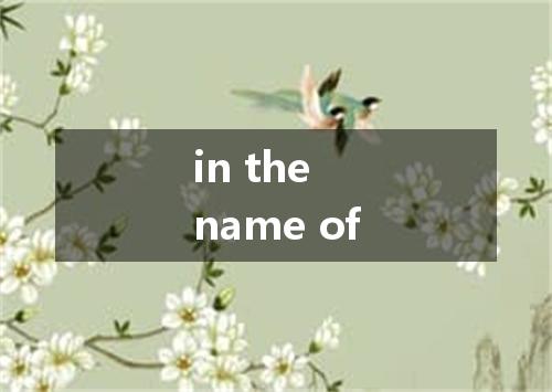 in the name of是什么意思