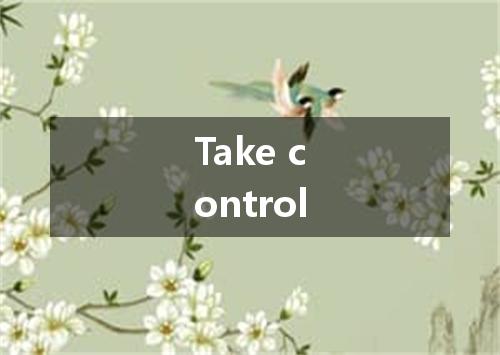 Take control是什么意思