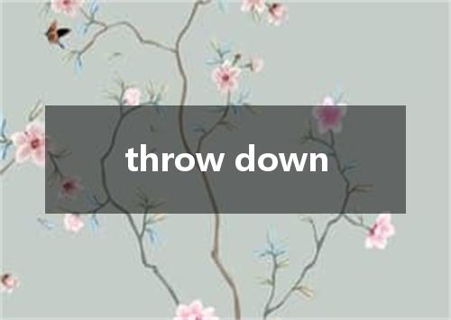 throw down是什么意思