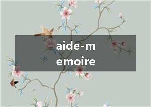 aide-memoire是什么意思