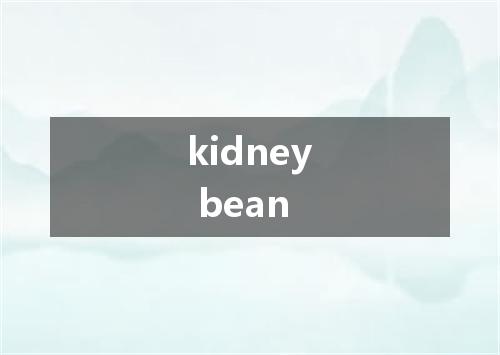 kidney bean是什么意思