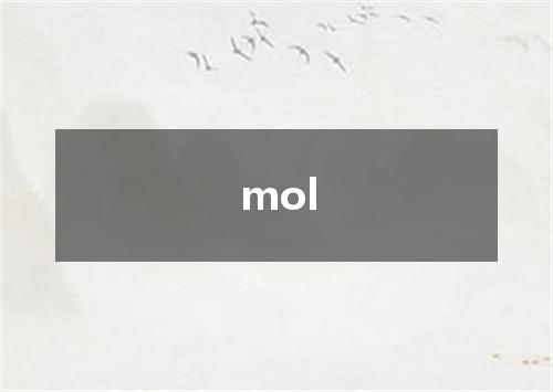 mol是什么意思