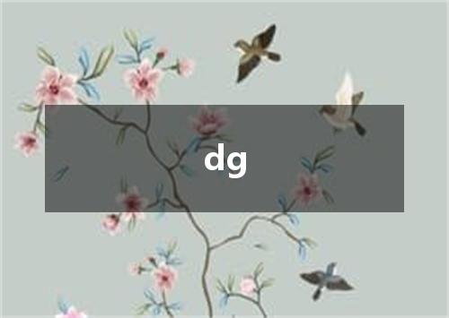 dg是什么意思