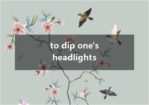 to dip one's headlights是什么意思