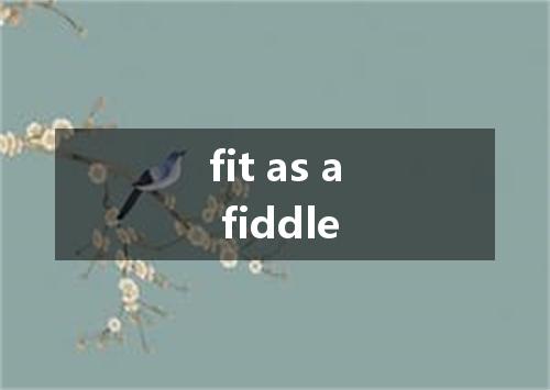 fit as a fiddle是什么意思
