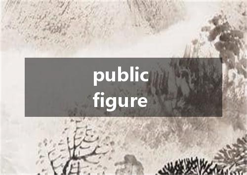 public figure是什么意思