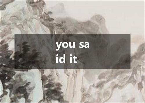 you said it是什么意思
