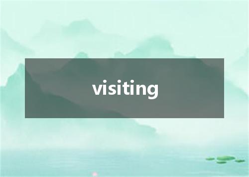 visiting是什么意思