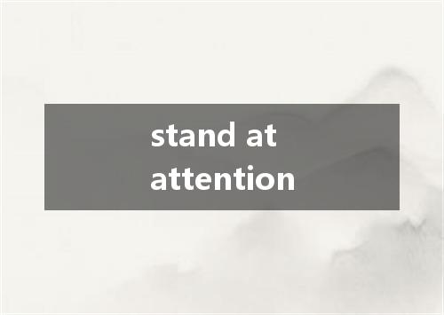 stand at attention是什么意思