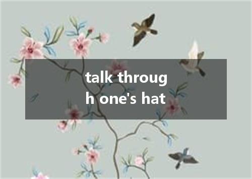 talk through one's hat是什么意思