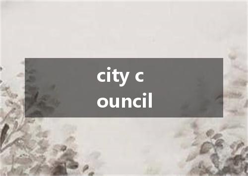 city council是什么意思