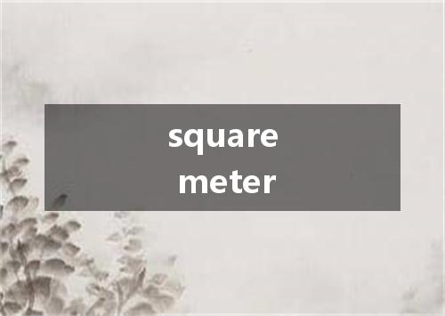 square meter是什么意思