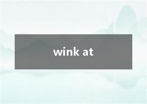 wink at是什么意思