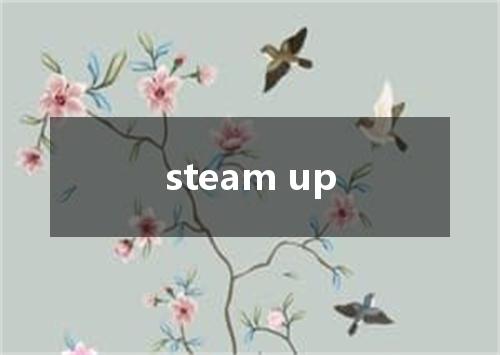steam up是什么意思