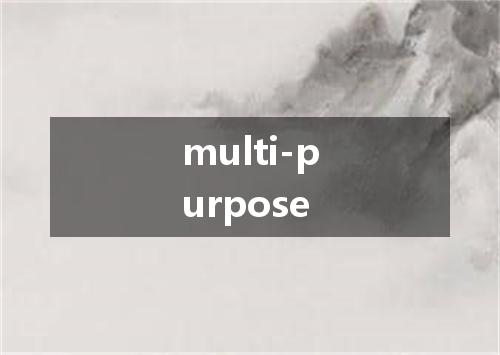 multi-purpose是什么意思