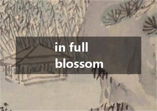 in full blossom是什么意思